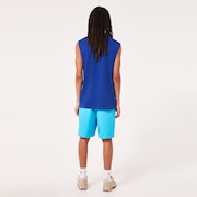 Marine Park Hybrid 19" Short - Bright Blue