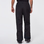 Oakley Buckeye Gore-Tex Shell Pant in Blackout | Oakley