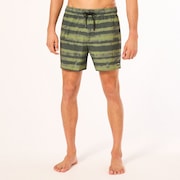 Blur Stripes Rc 16" Beachshort - Blurred Stripe Green