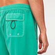 Robinson Rc 16" Beachshort - Mint Green