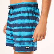 Blur Stripes Rc 16" Beachshort - Blurred Stripe Blue