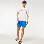 Cargo Rc 18" Beach Short - Ozone