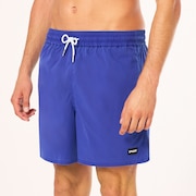 Robinson Rc 16" Beachshort - Crystal Blue
