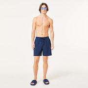 Checkered 18'' Beachshort - Abyss
