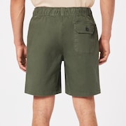 Marine Park Hybrid 19" Short - New Dark Brush