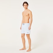 Beach Volley 16" Beachshort - Frost