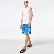 Retro Split 21 Boardshort - Light Blue Flower/Stripe