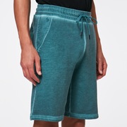 Dye Short - Bayberry