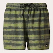 Blur Stripes Rc 16" Beachshort - Blurred Stripe Green