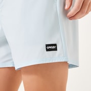 Robinson Rc 16" Beachshort - Frost