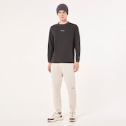 En New Retro L/S Tee Flag 1.7 - Shadow/Black