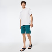 Double Up 20 Rc Boardshorts - Bayberry