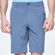 Take Pro Short 2.0 - Universal Blue Heather