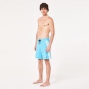 Quiver RC 19” Boardshort - Bright Blue