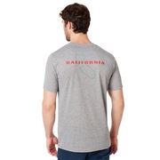 California - Gray Melange