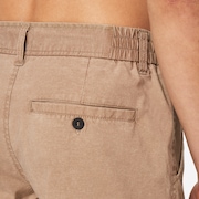Chino 19 Hybrid Short - Rye