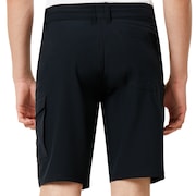 Cruiser Cargo Hybrid 21 - Blackout