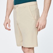 Take Pro Short 2.0 - Safari Heather