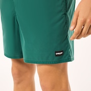 Robinson Rc 16" Beachshort - Viridian