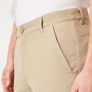 Take Pro Short 3.0 - Rye