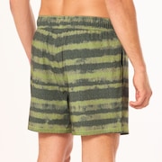 Blur Stripes Rc 16" Beachshort - Blurred Stripe Green