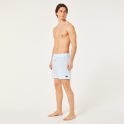 Robinson Rc 16" Beachshort - Frost