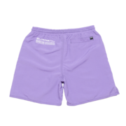 Perception Shorts - Blue Wash