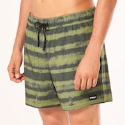 Blur Stripes Rc 16" Beachshort - Blurred Stripe Green