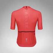 Endurance Mix Jersey - Paloma