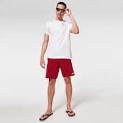 Double Up 20 Rc Boardshorts - Iron Red