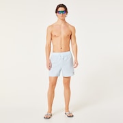 Robinson Rc 16" Beachshort - Frost