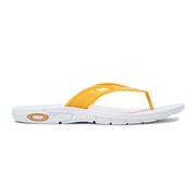 Oakley Ellipse Flip - Gatorade