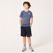 Ytr Tech SS  Crew 11.0 - Gray Dust