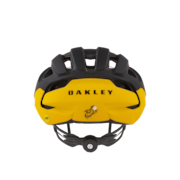 ARO3 - MIPS - Tour De France 2019