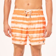 Blur Stripes Rc 16" Beachshort - Blurred Stripe Orange