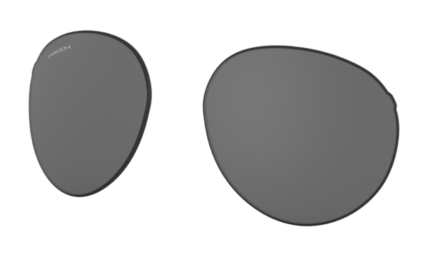 Forager (Low Bridge Fit) Replacement Lenses