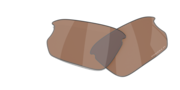 prizm tungsten polarized