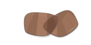 prizm tungsten polarized