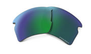 prizm jade polarized