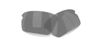 prizm black polarized