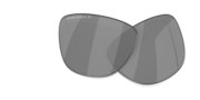 prizm black polarized