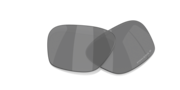 prizm black polarized