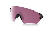 prizm sporting clay