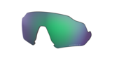 prizm jade polarized