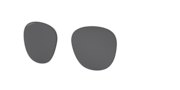prizm black polarized