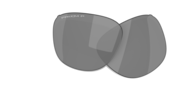 prizm black polarized