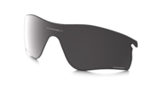 prizm black polarized