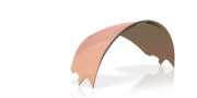 Oakley Meta Vanguard Replacement Lenses