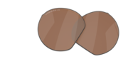 prizm tungsten polarized