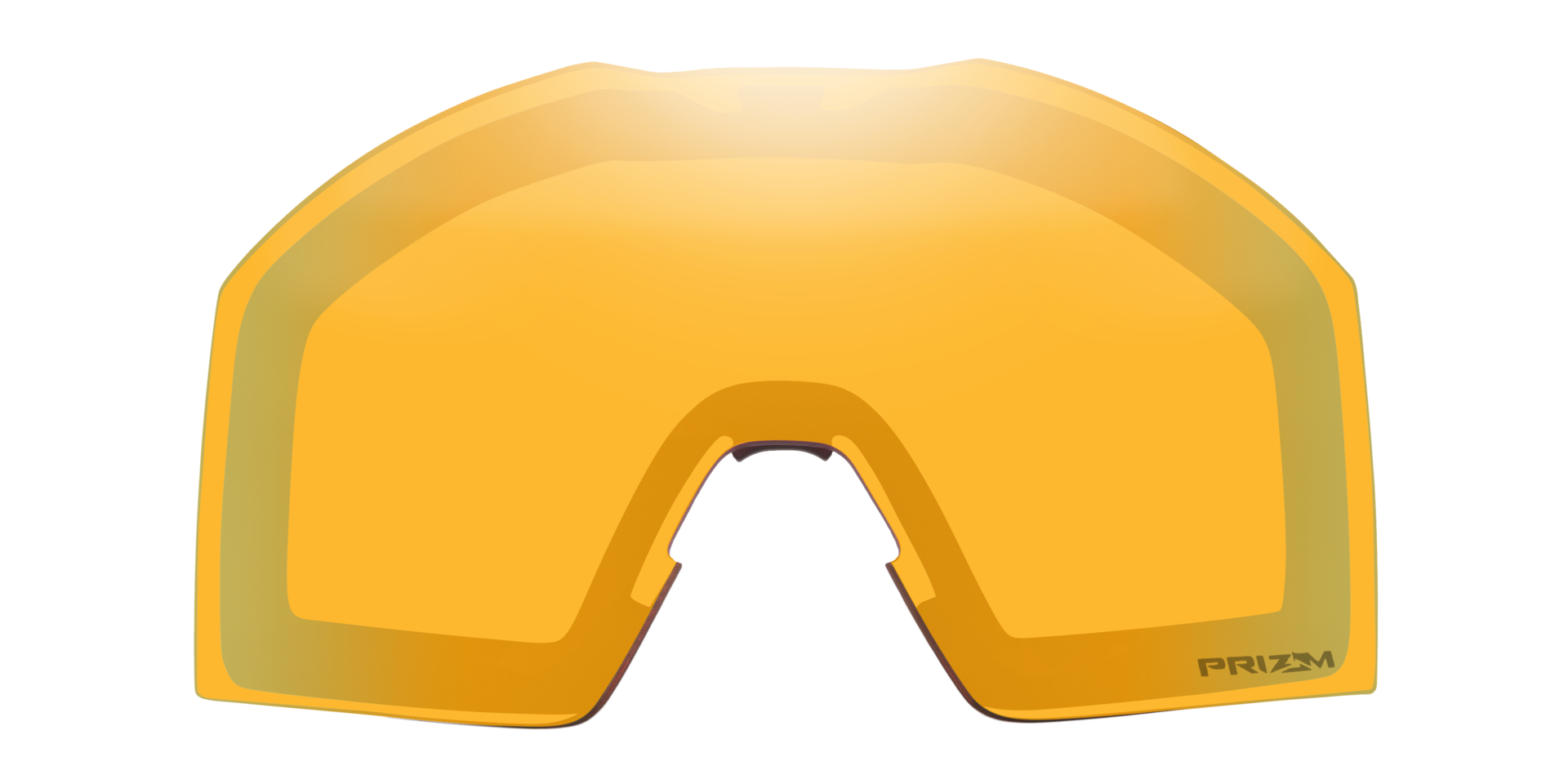 Oakley Fall Line L Replacement Lenses with Strap and Prizm Snow